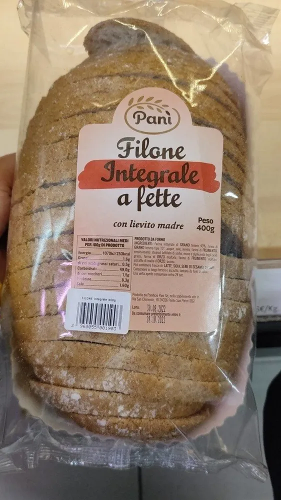 Filone integrale