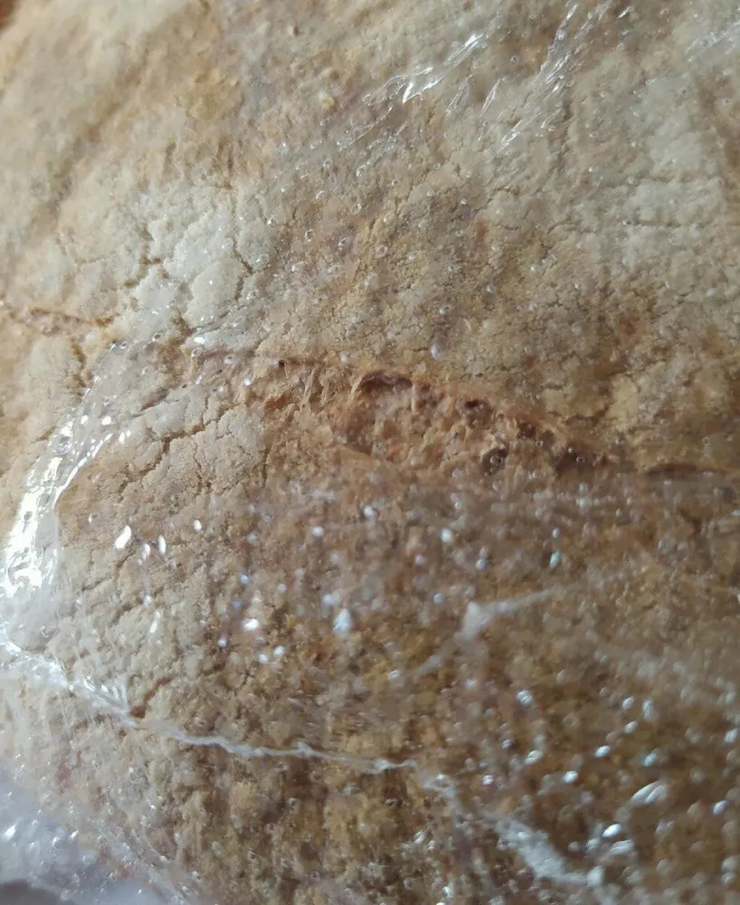 Pane Casareccio