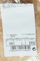 Empanada gallega