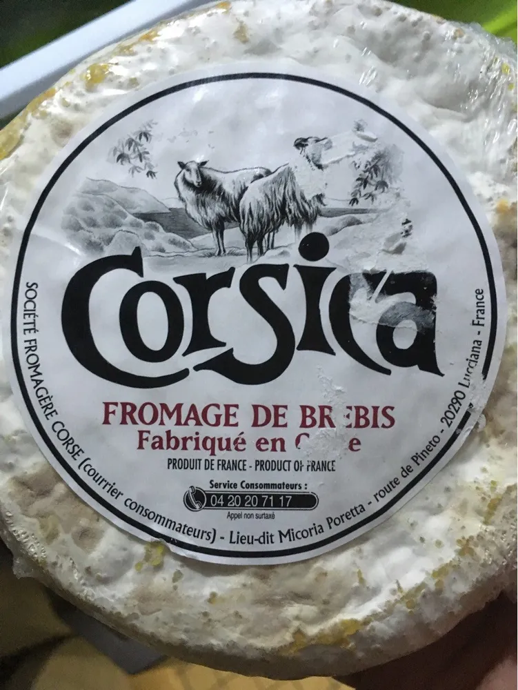 Corsica