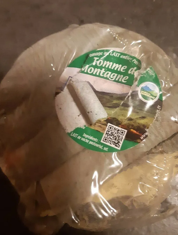 Tomme des montagnes