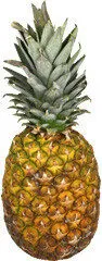 Ananas Queen Victoria - Origine Ile Maurice Ou Reunion