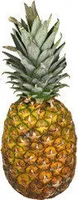 Ananas Queen Victoria - Origine Ile Maurice Ou Reunion