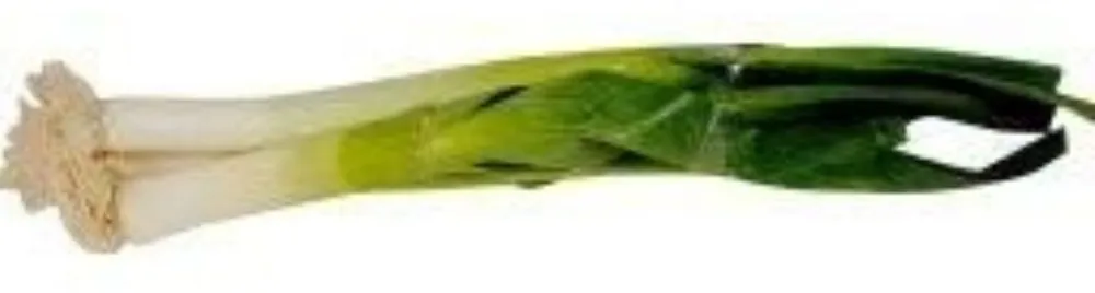 Poireaux frais