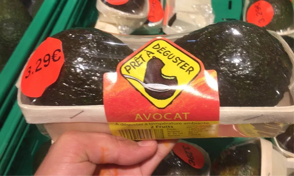 Avocat 2x