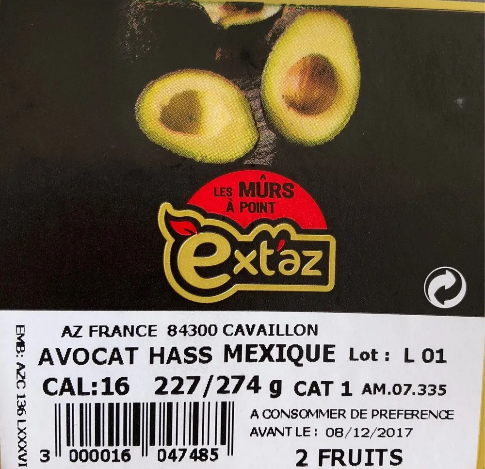 Avocat Hass