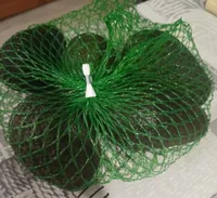 Avocat