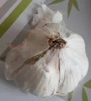 Ail blanc