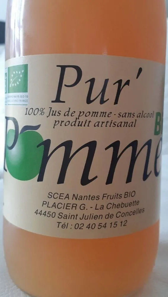 Jus 100% pommes