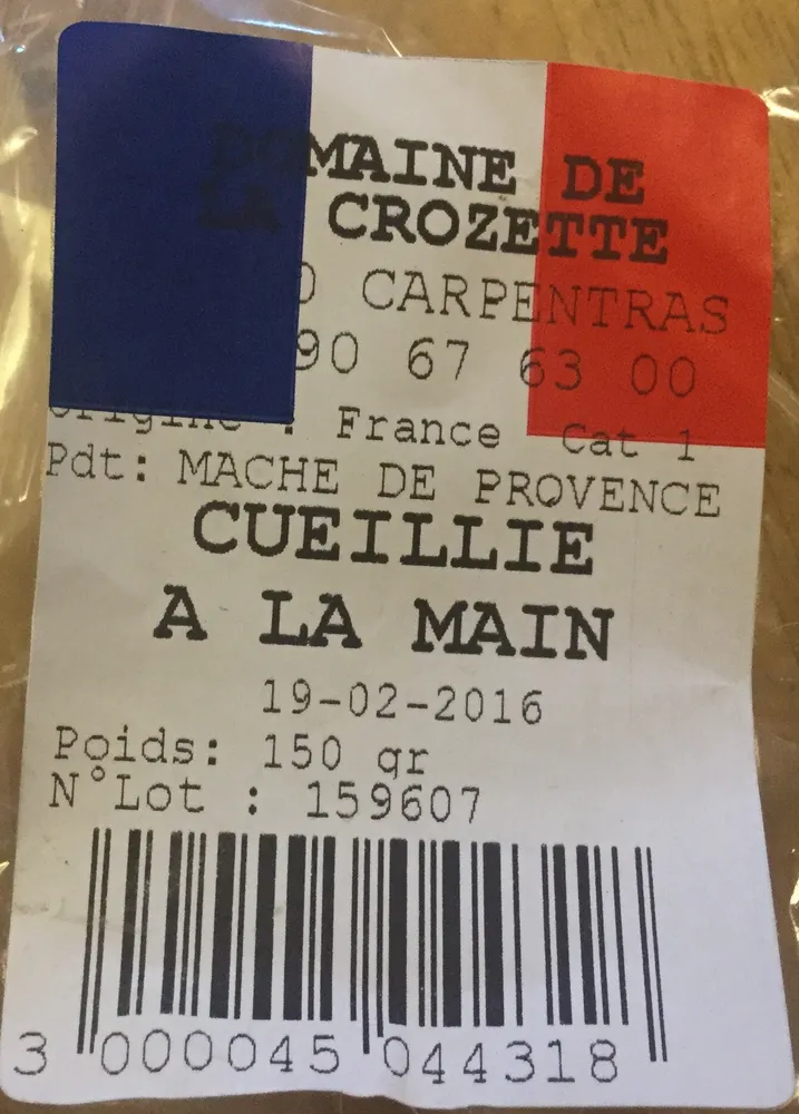 Mache de Provence cueillie à la main