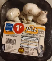 Champignons de Paris - Pieds coupés