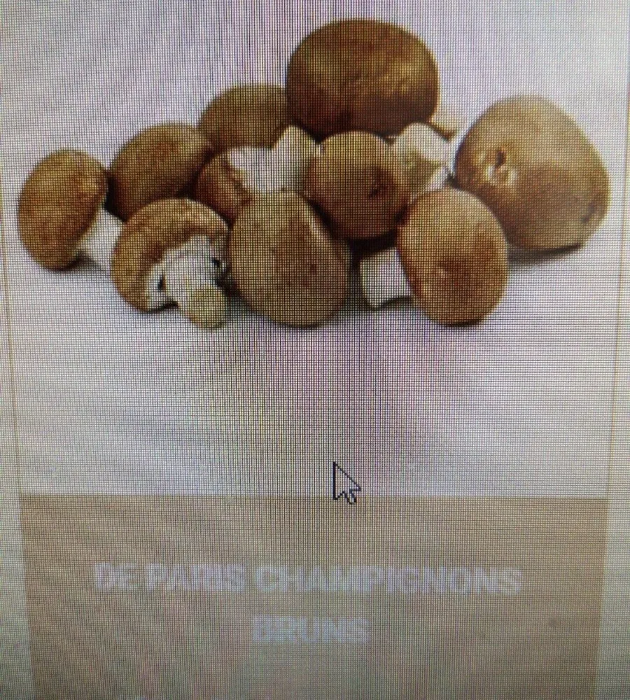 Champignons brun bio