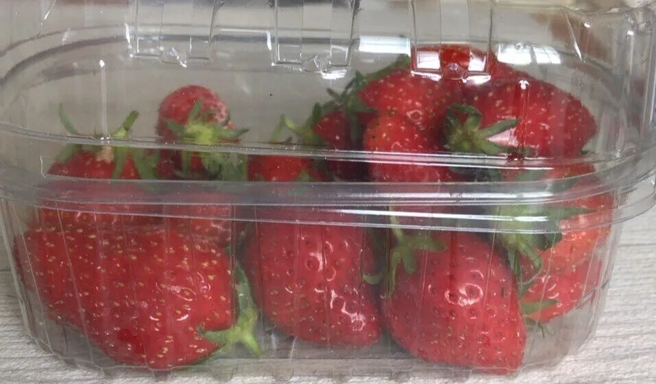 Fraise Mara des bois
