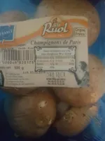 Deutsche / Niederländische Champignons, Braun 0,5 Kg