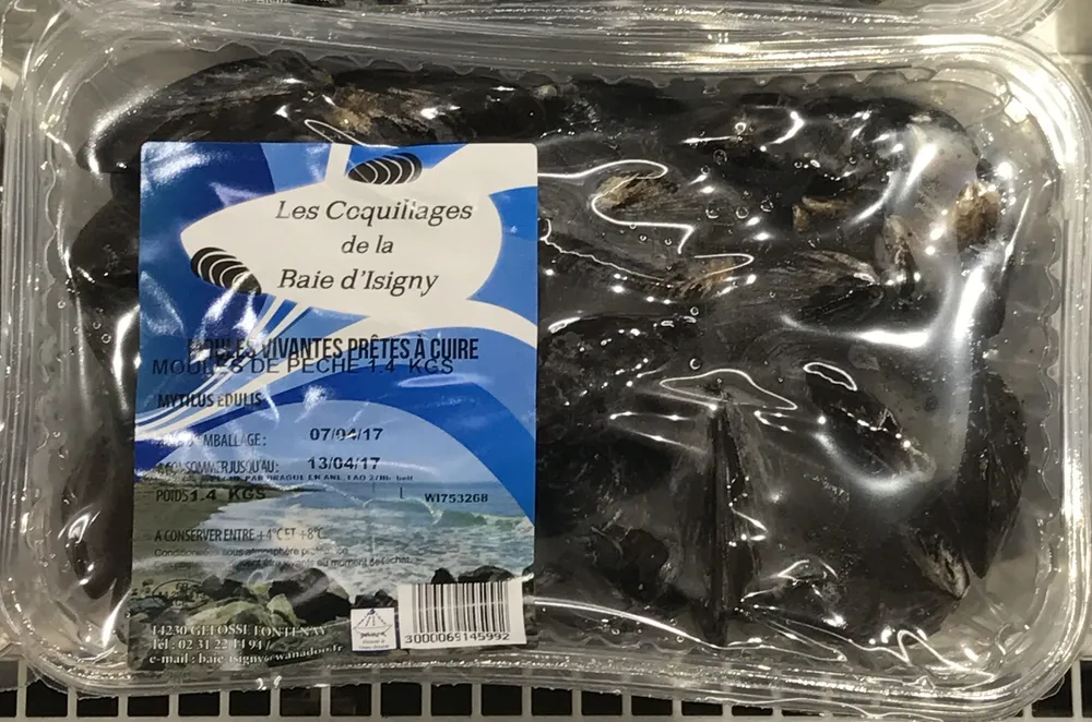 Moules vivantes prêtes à cuire
