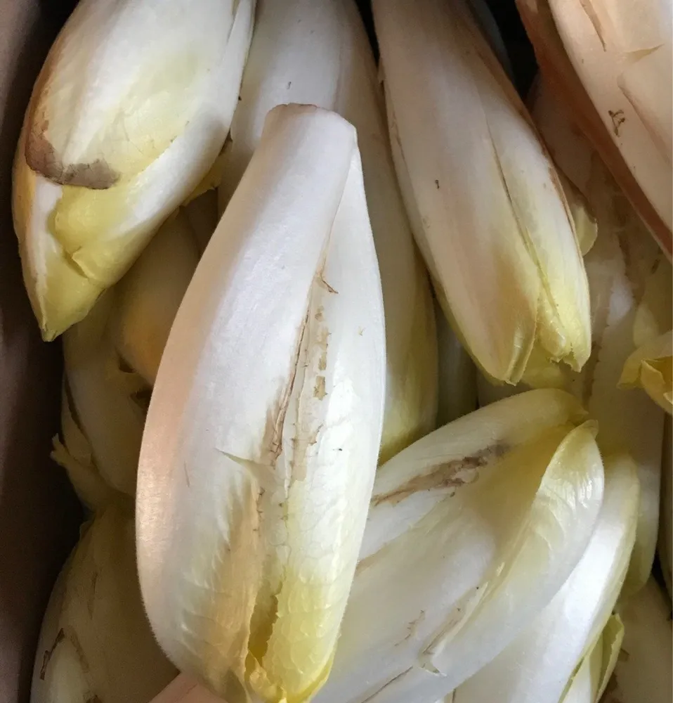 Endives