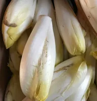 Endives