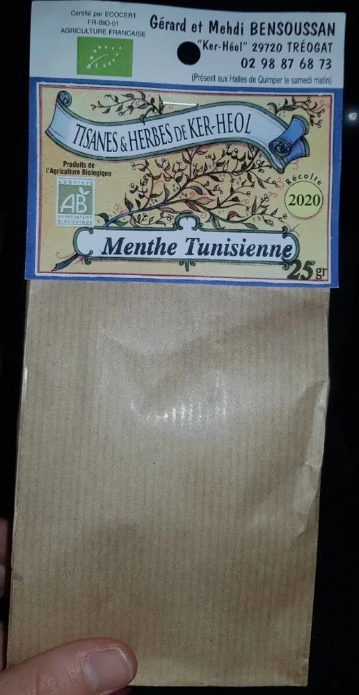 Menthe tunisienne