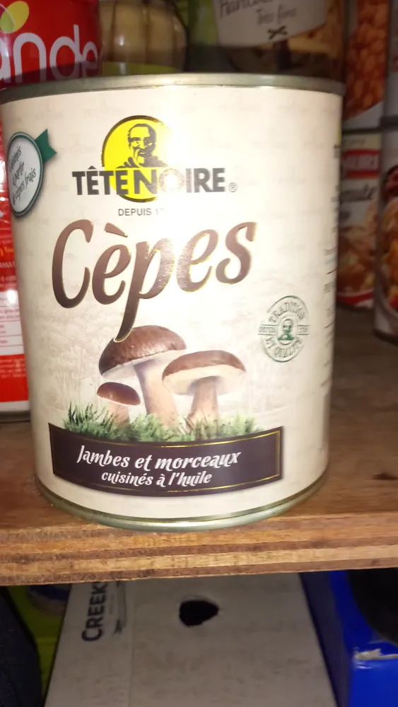 Cèpes Tête noire