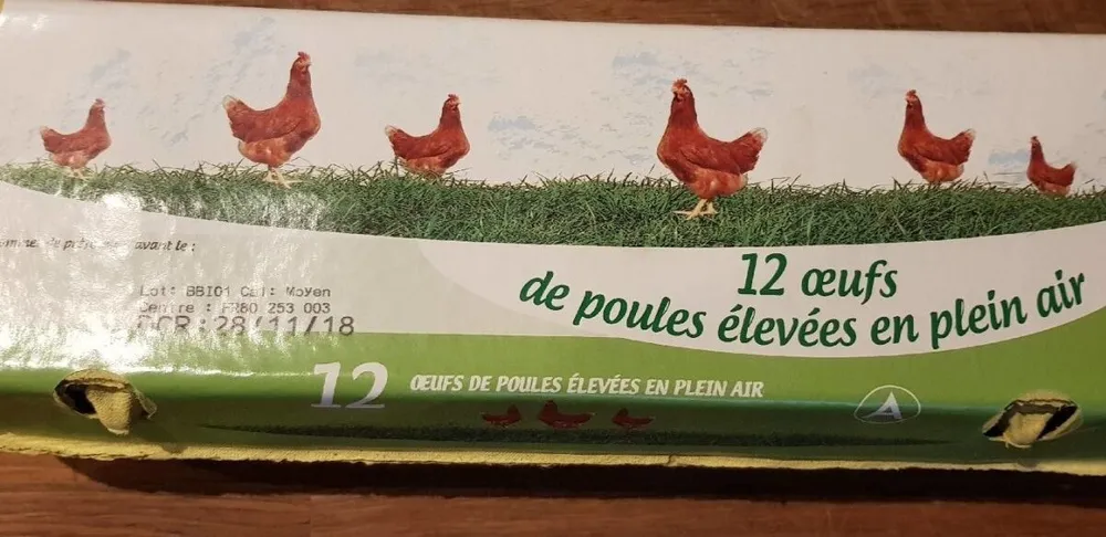 12 oeufs de poules élevées en plein air