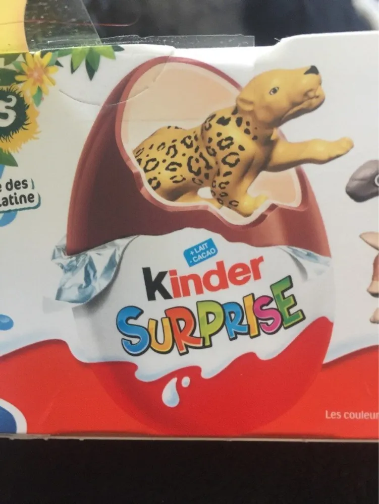 kinder surprise
