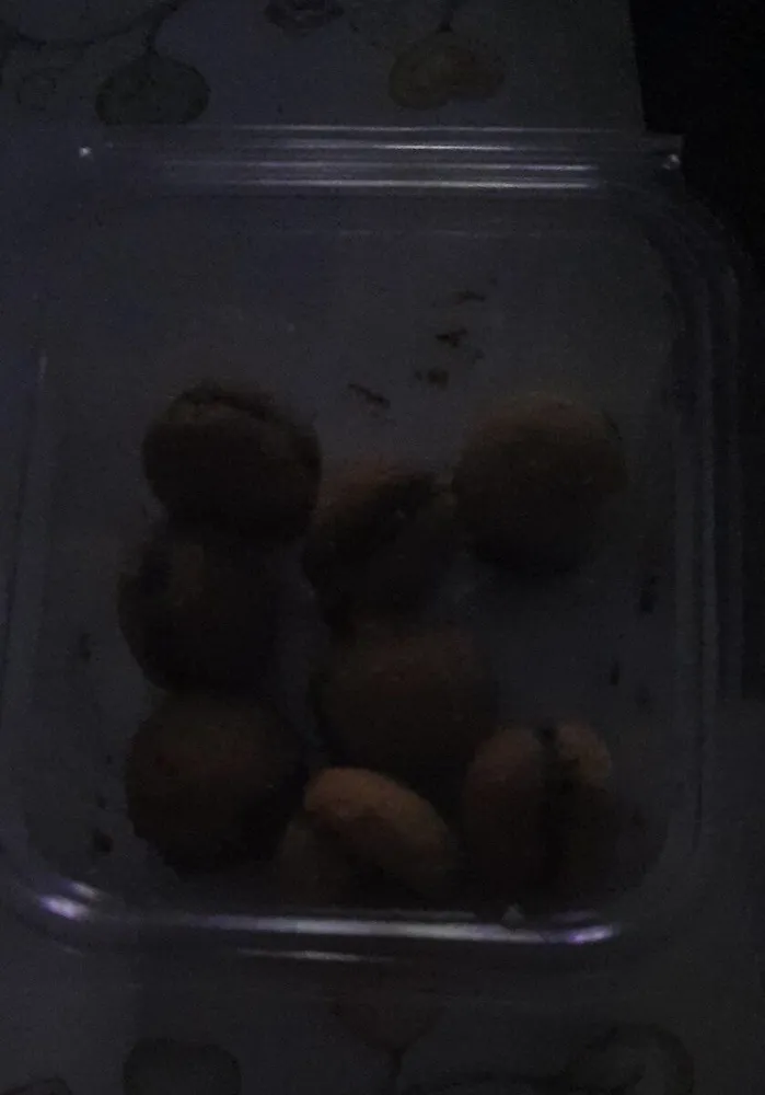 baci di dama