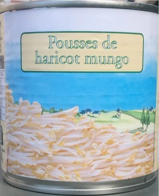 Pousse de haricot mungo