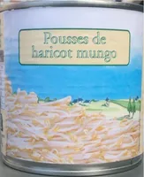 Pousse de haricot mungo