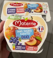 SANS SUCRES AJOUTÉS DUO POMME MYRTILLE / POMME BRUGNON