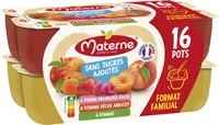 MATERNE Compotes SSA Multivariétés 16x100g Format Familial