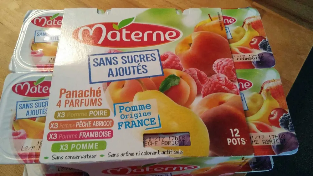 Compotes Materne Fruits jaunes SSA