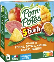 POM'POTES Compotes Gourdes 5 Fruits Exotiques 4x90g