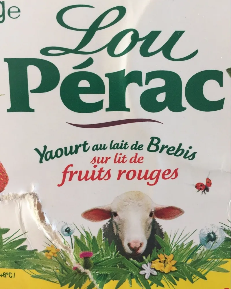 Yaourt au lait de brebis sur lit de fruits rouges