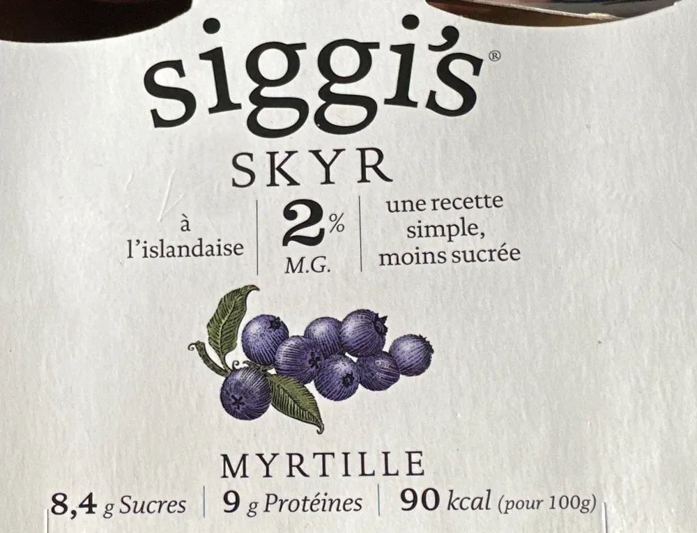 Skyr myrtille