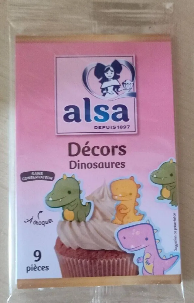 Décors Dinosaures