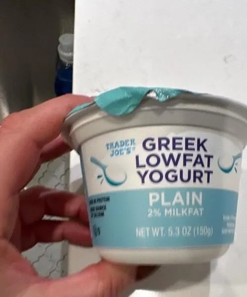 Greek low-fat yogurt