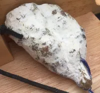 Saucisson sec au noisettes