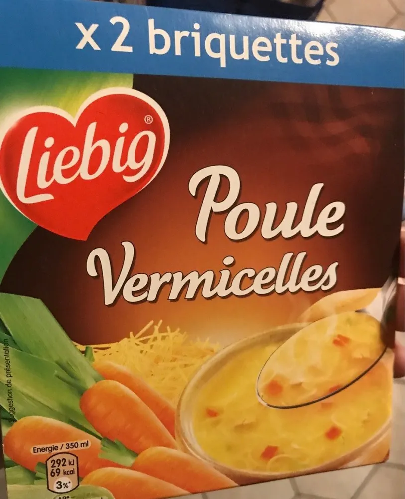 Soupe Poule aux Vermicelles
