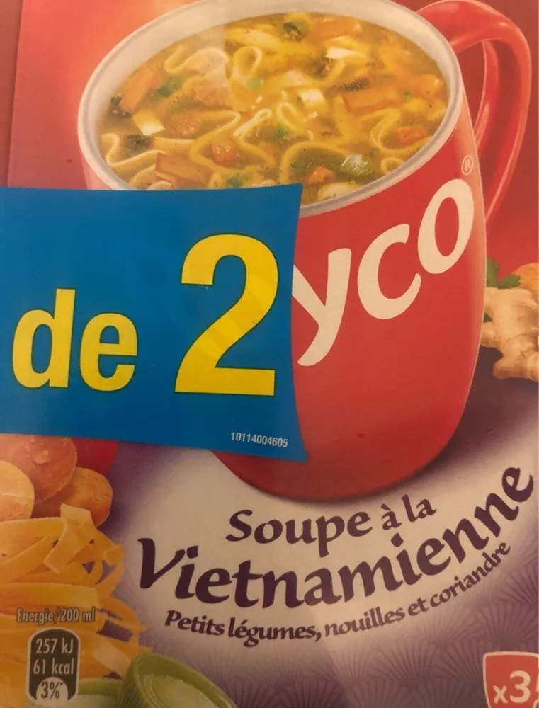Soupe a la vietnamienne