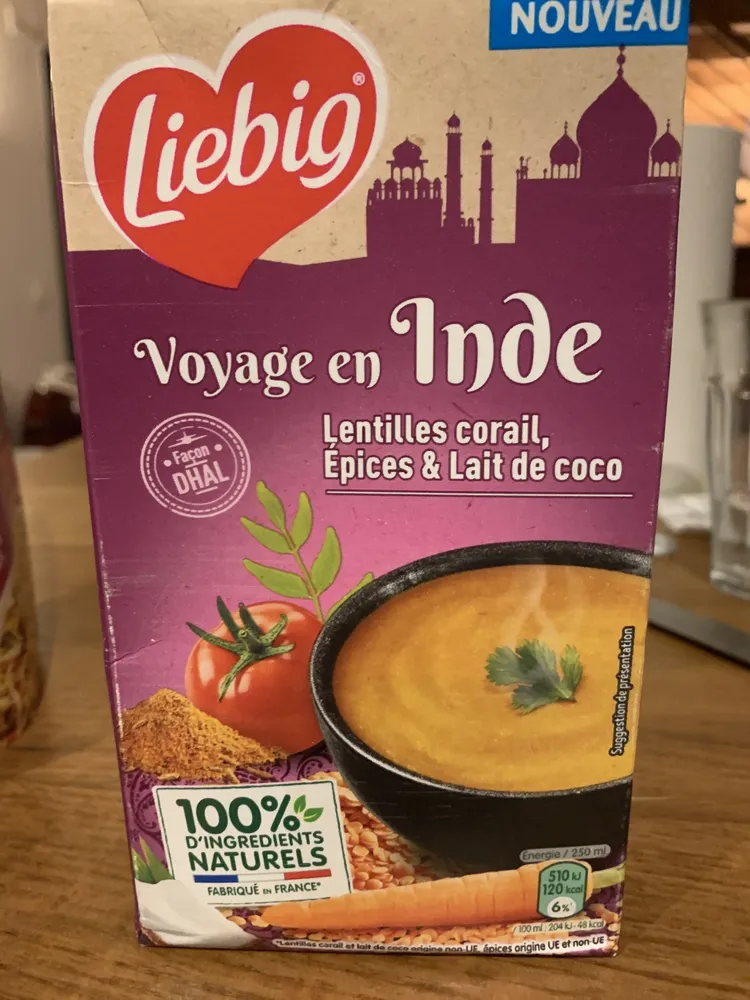 Voyage en inde