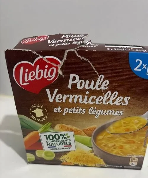 Poule vermicelles et petits légumes