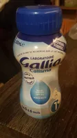 Gallia