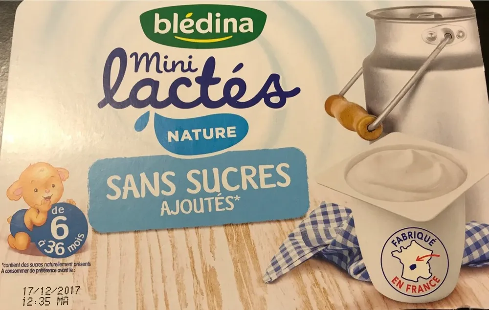 BLEDINA LES MINI LACTES 6x55g Nature sans sucre dès 6 mois
