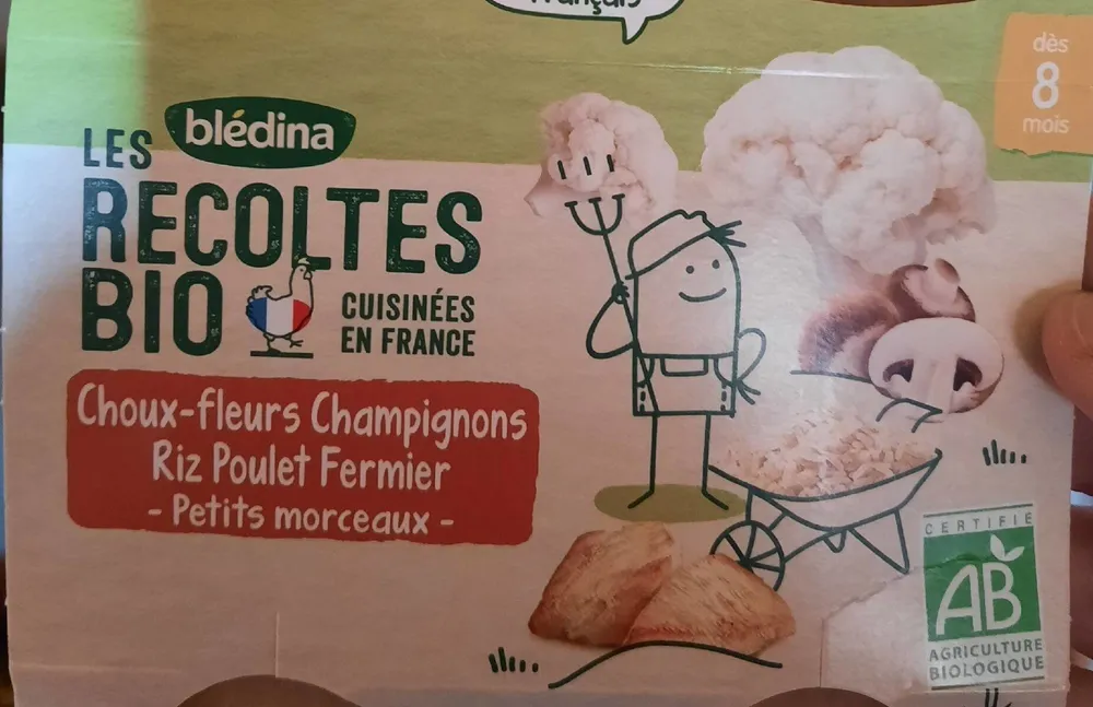 Choux fleur champignons riz poulet fermier