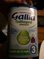 Galliagest croissance