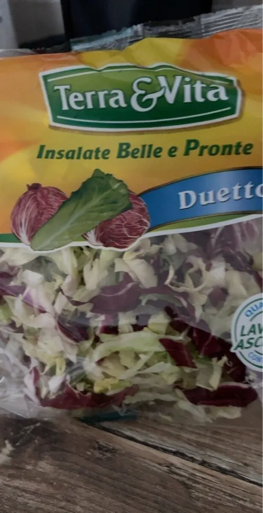 Insalata Duetto