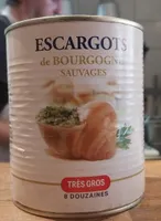 Escargots de bourgogne sauvages