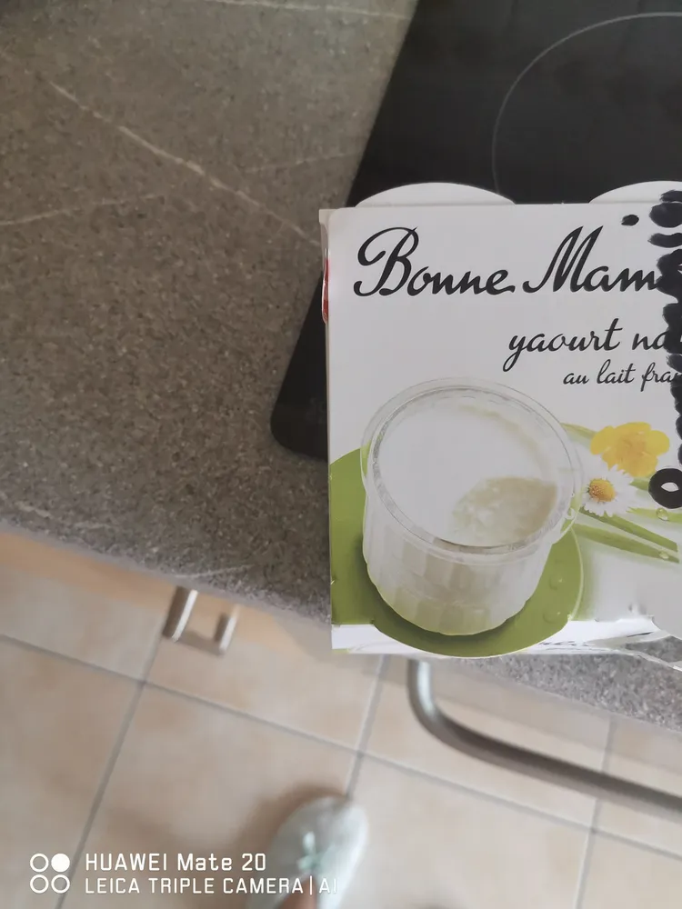 Yaourt Nature Au Lait Frais