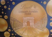 champs-elysees feerie