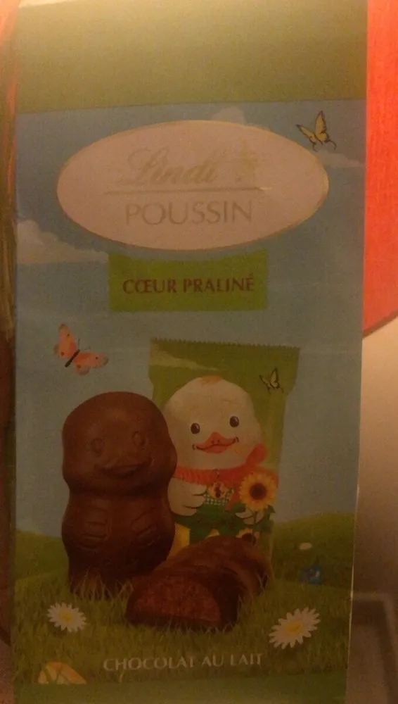 Lindt poussin